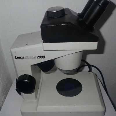 Leica Zoom 2000 Stereo Microscope /l.